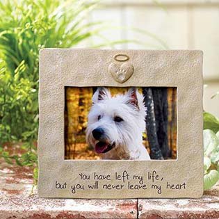 sports shoes new high famous brand pet memorial video service. personalized dog memorial picture ... sports shoes new high famous brand pet memorial video service. personalized dog memorial picture ...